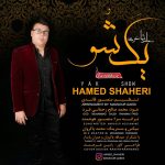 حامد شاعری یک شو