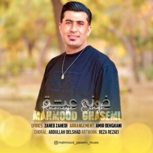 محمود قاسمی خونه عشق