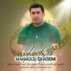 محمود قاسمی حفله شاد بندری