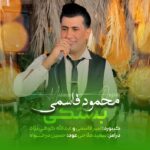 محمود قاسمی بستکی