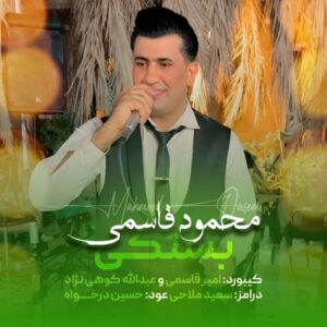 محمود قاسمی بستکی
