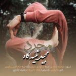 مجید تکیه گاه مجرد