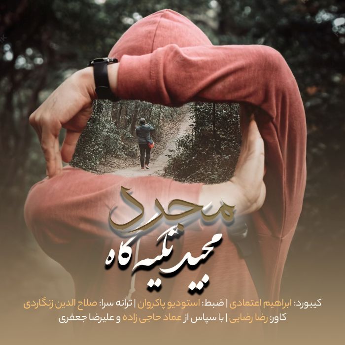 مجید تکیه گاه مجرد