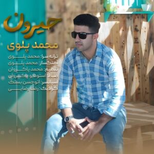 محمد پلوی حیرون