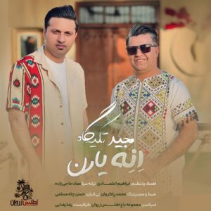 مجید تکیه گاه انه یارن