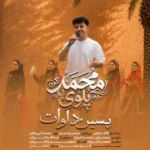 محمد پلوی پسین داوات