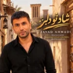 جواد احمدی شاد تو دلبر